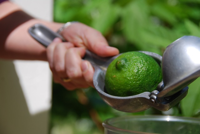 Exprimidor de limones verde