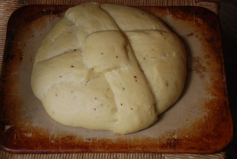 shaped pan de muerto dough after rising