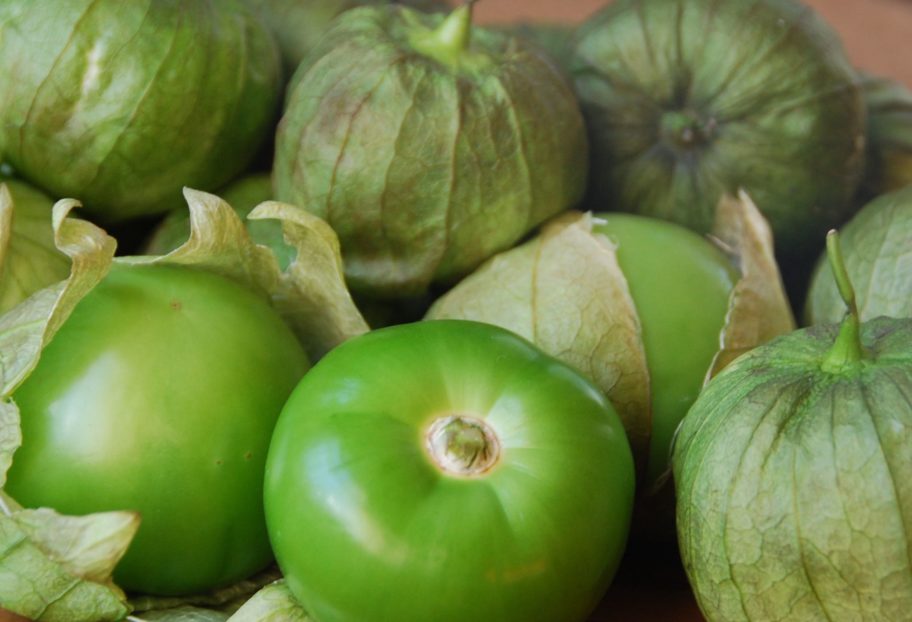 tomates verdes main