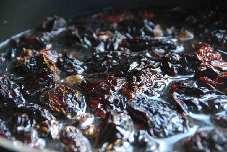 Tú los pediste chiles chipotle en salsa de adobo Pati Jinich en Español