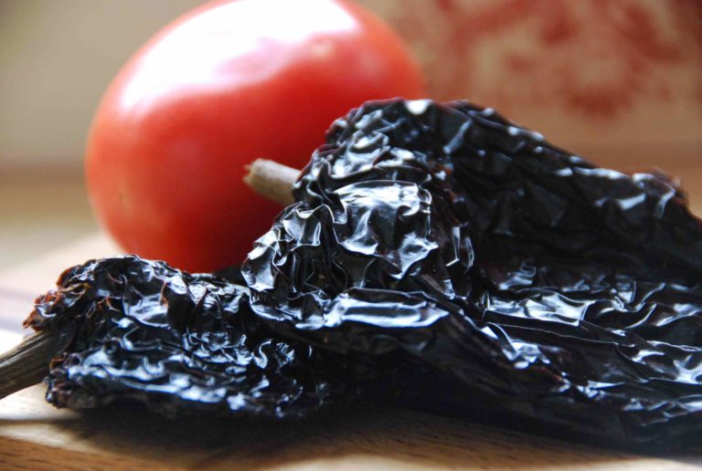 Tú los pediste chiles chipotle en salsa de adobo Pati Jinich en Español