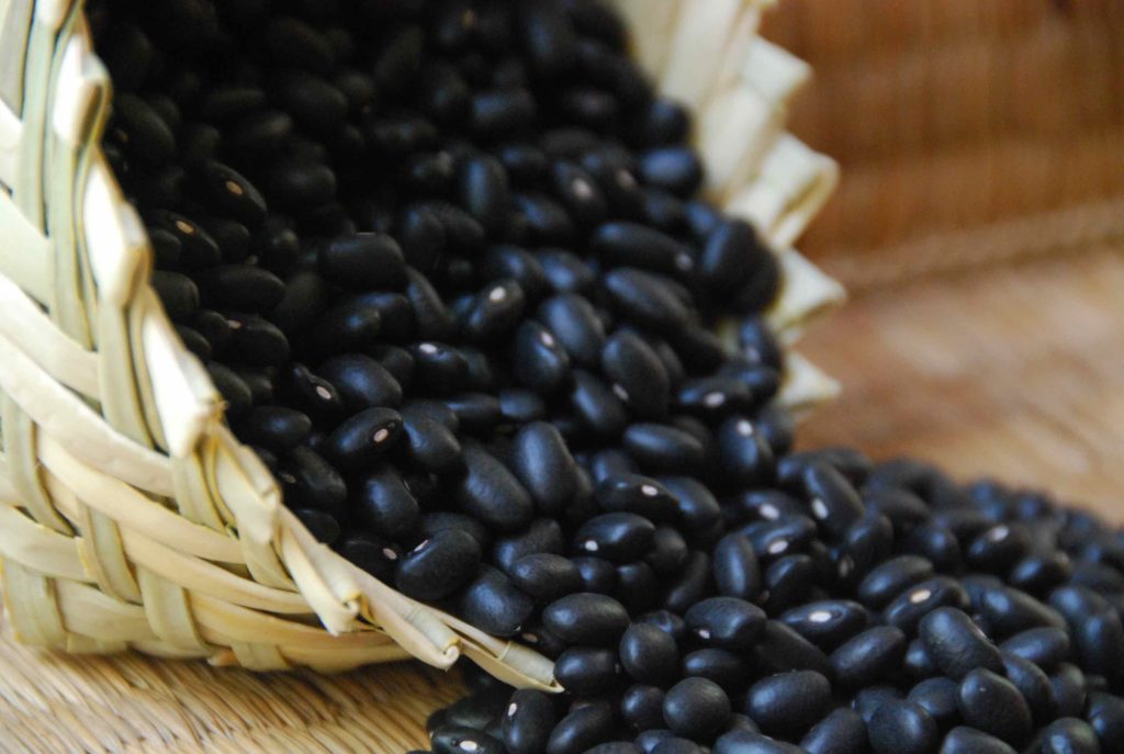 Frijoles Negros Pati Jinich en Español