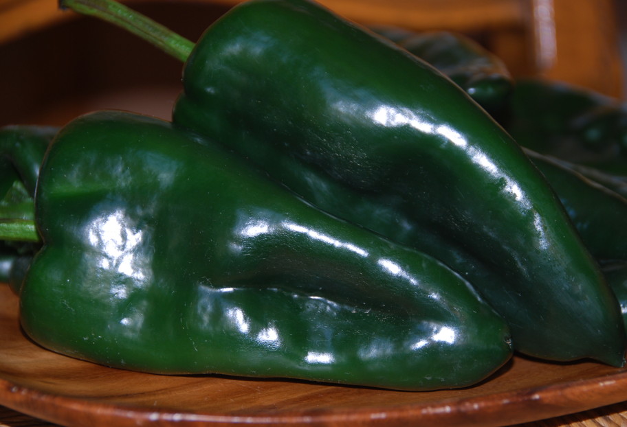 Poblano Chile or Pepper