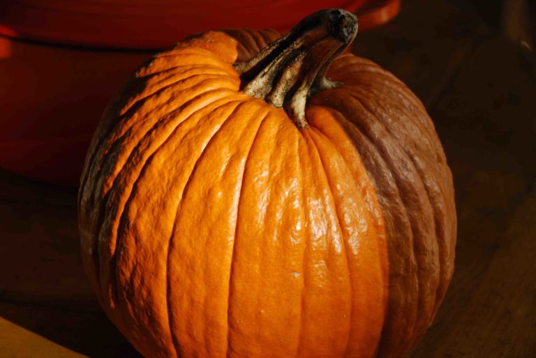 You have a Pumpkin? Turn it into Tacha Pati Jinich