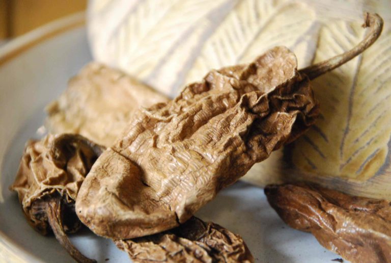 You Asked for It Chipotle Chiles in Adobo Sauce Pati Jinich