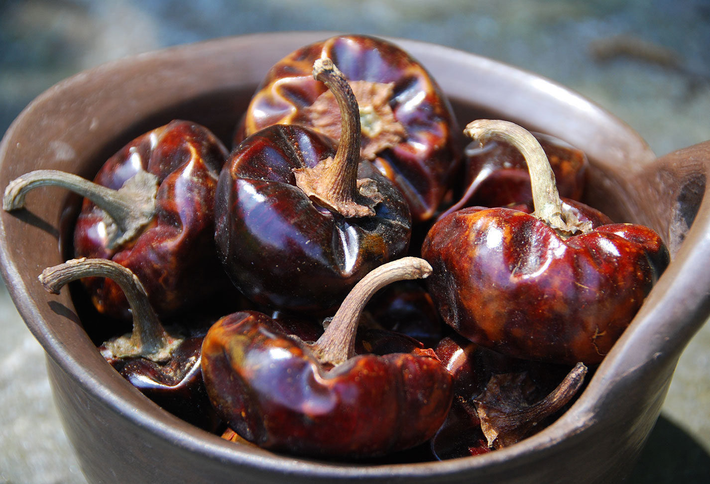 Cascabel Chile Pati Jinich