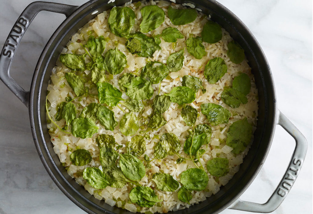 Pati Jinich » Arroz con Chepil
