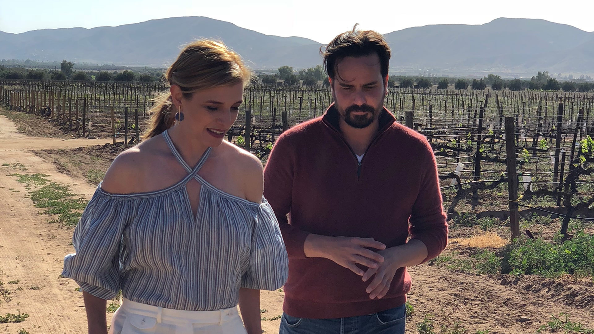 Episode 705: Mexican Wine Country
