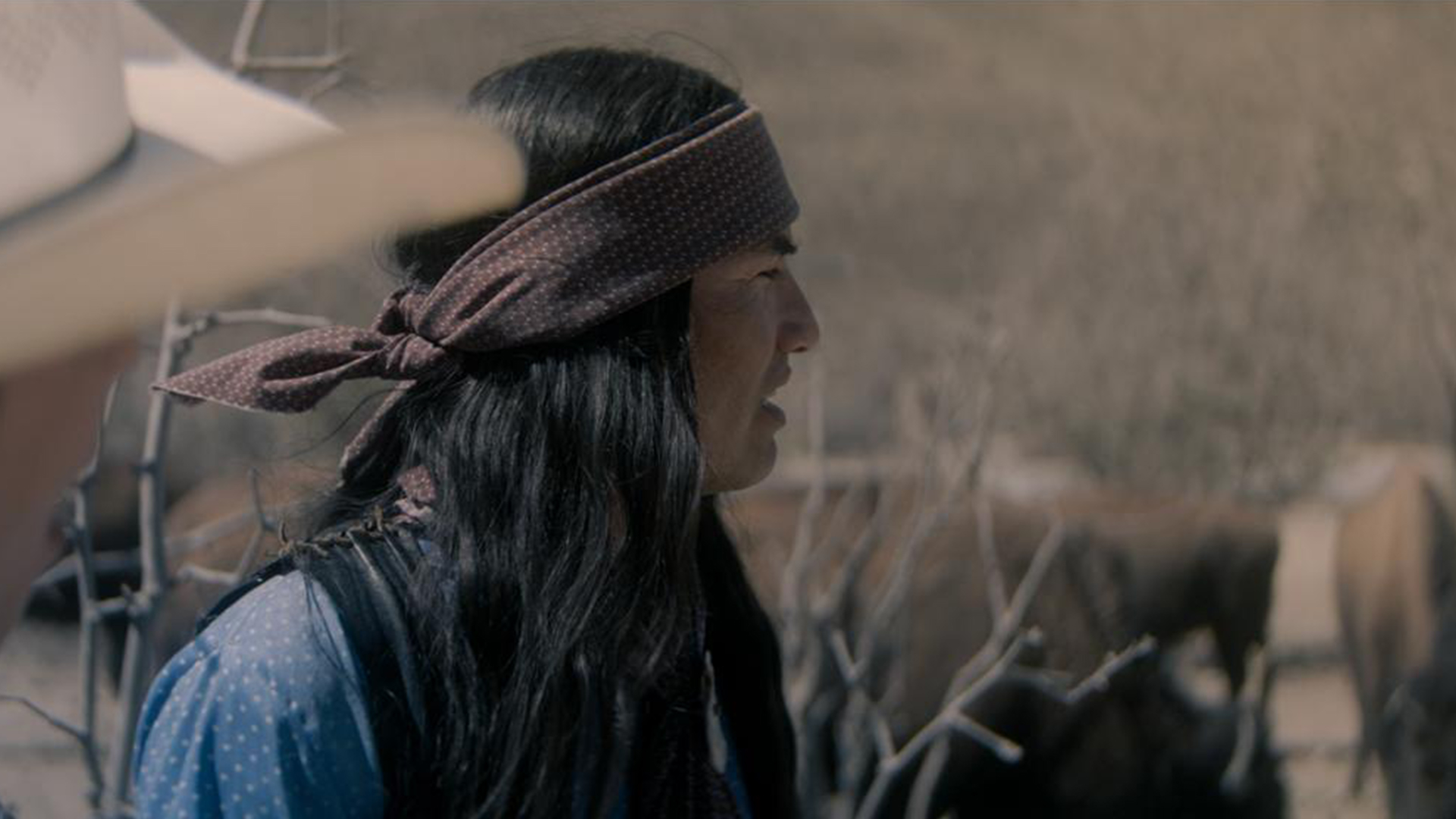 Pati's Mexican Table Season 15, Episode 6 "Where the Bison Roam"